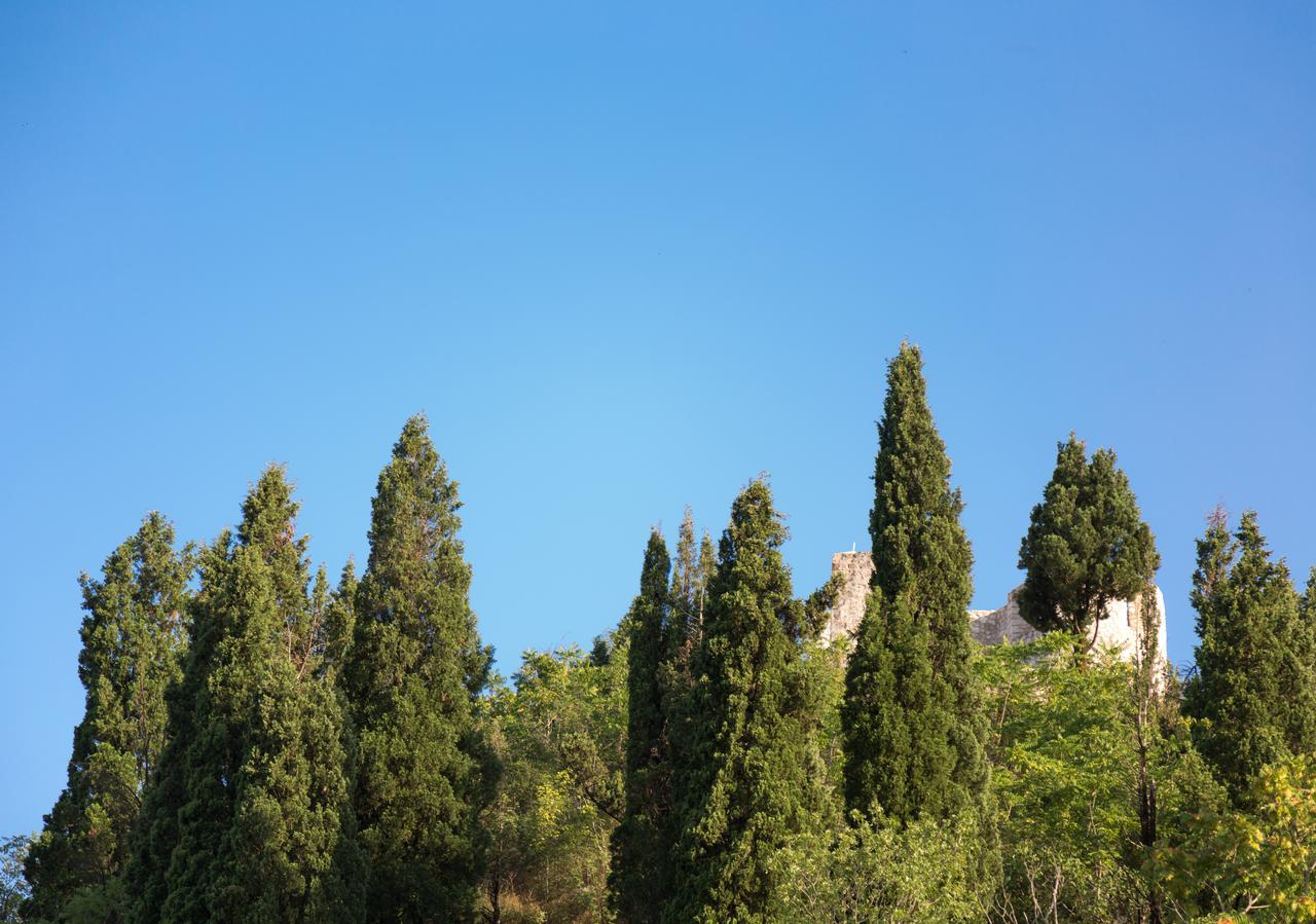 Vasiliki Διαμέρισμα Virpazar Εξωτερικό φωτογραφία